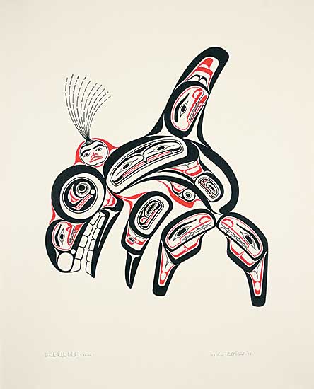 #502 ~ Reid - Killer Whale  #169/600