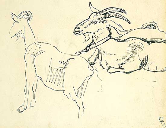 #532 ~ Varley - Goats