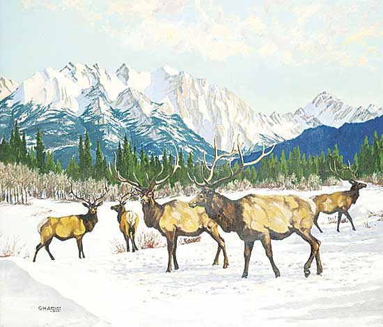 #1005 ~ Ashley - Elk in the Mountains [Winter]