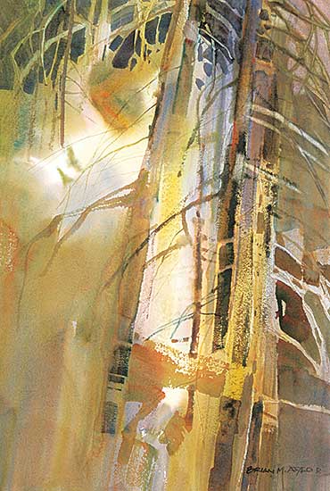 #1007 ~ Atyeo - Untitled - In the Forest