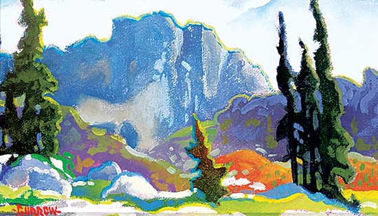 #1028 ~ Burrow - Vista Pass