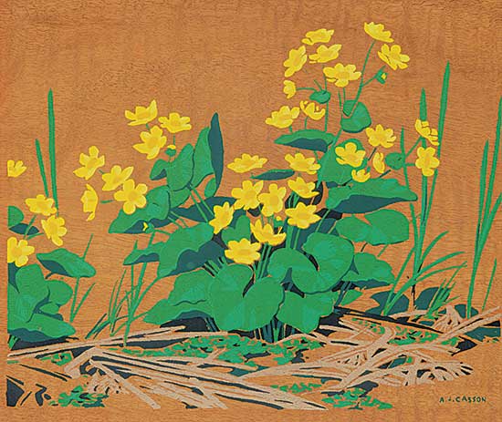 #1049 ~ Casson - Marsh Marigold