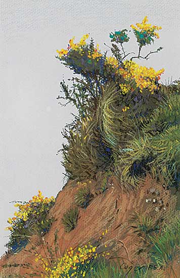 #1060 ~ Codger - Broom Near Dallas