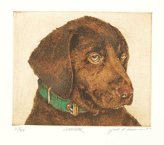 #1066 ~ Cowin - Labrador  #23/40