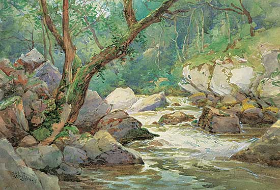 #1116 ~ Gagen - Forest Stream