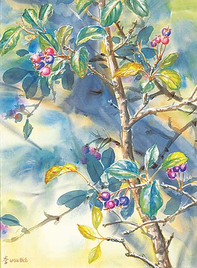 #1182 ~ Lee - Saskatoon Berry