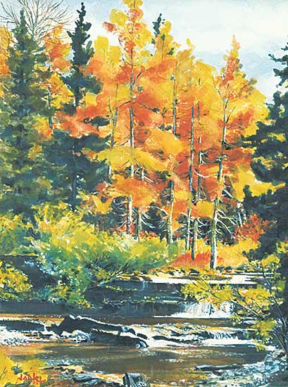 #1334 ~ Tolg - Waterton Waterfall and Ponds