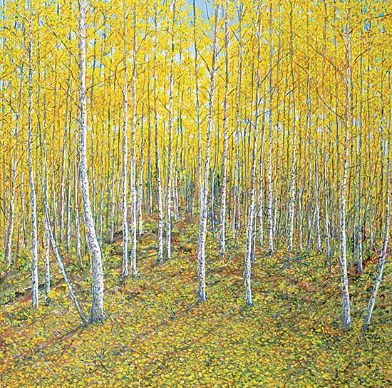 #1343 ~ Voyer - Birch Grove Tawatinaw Valley, Fall 2007