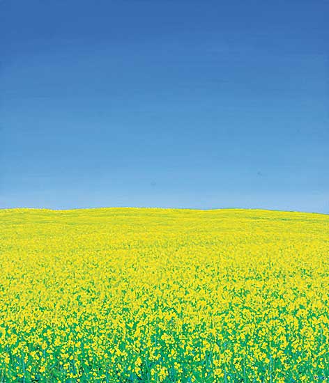 #1345 ~ Voyer - Untitled - Canola