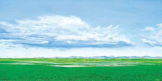 #1346 ~ Voyer - Untitled - Summer Clouds