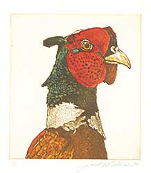 #1064 ~ Cowin - Untitled - Rooster Pheasant  #A/P