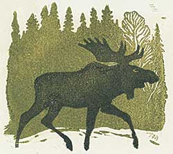 #1199 ~ MacDonald - The Moose