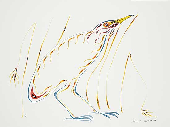 #5 ~ Cobiness - Untitled - American Bittern