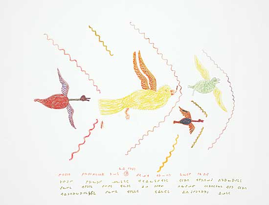 #175 ~ Papialuk - Untitled - These Colourful Birds