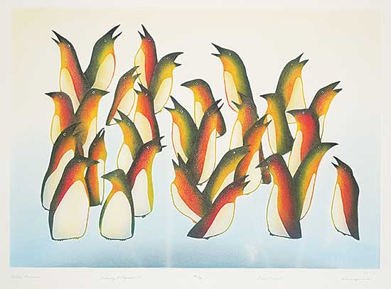 #182 ~ Pootoogook - Arctic Murres  #34/50
