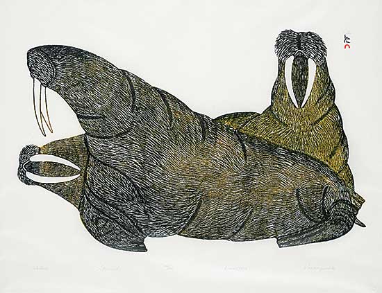 #185 ~ Pootoogook - Walrus  #160/200