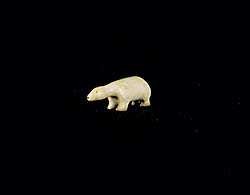 #250 ~ Inuit - Miniature Polar Bear