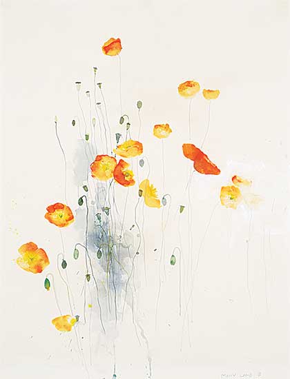 #10 ~ Bobak - Untitled - Icelandic Poppies