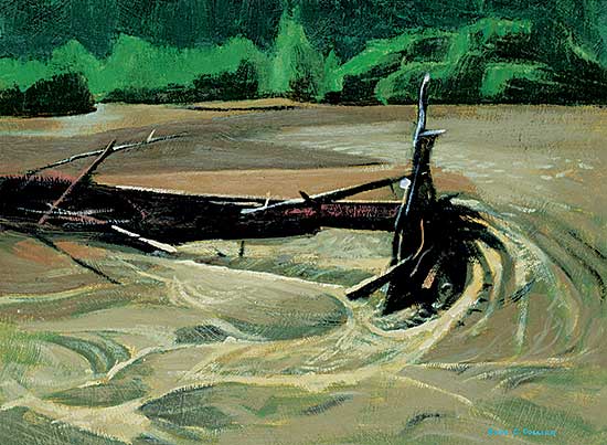 #27 ~ Collier - Kitwancool River, BC