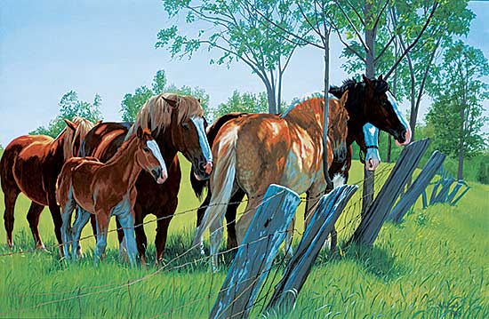 #53 ~ Halvorson - Untitled - In the Shade