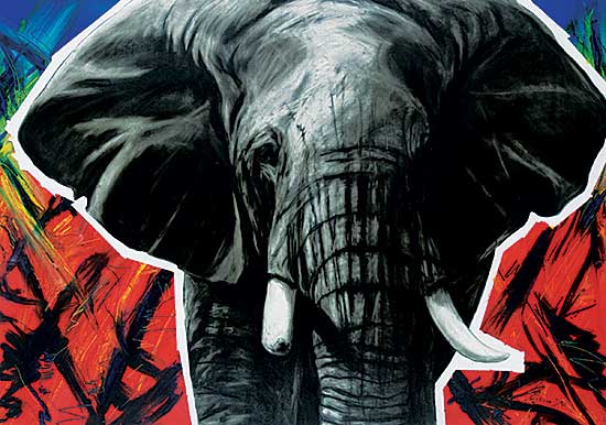 #204 ~ Enns - Charging Bull #2 - Tsavo East