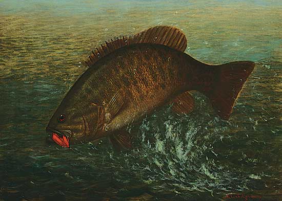 #304 ~ Goodwin - Untitled - Big Bass