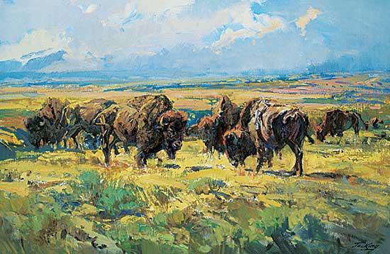 #308 ~ King - Untitled - When Buffalo Were Plenty