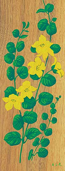 #417 ~ Casson - Moneywort