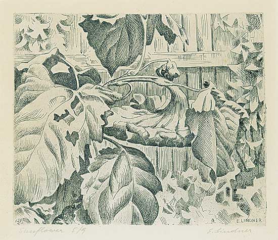 #459.1 ~ Lindner - Sunflowers  #5/9