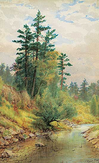 #463 ~ Martin - Calm River Under Cloudy Skies