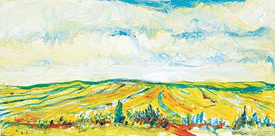 #489 ~ Richards - Fall Fields
