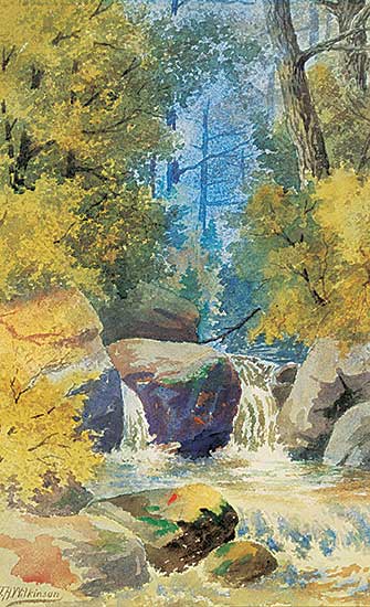 #532 ~ Wilkinson - Stream in Forest