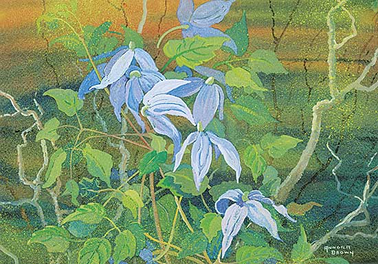 #1029 ~ Brown - Untitled - Blue Clematis