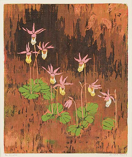 #1033 ~ Brown - Calypso  #6/8