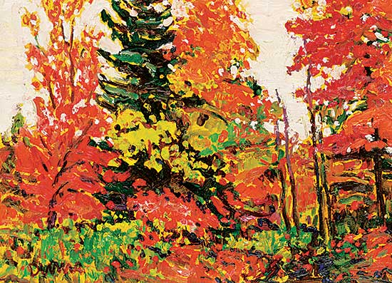 #1070 ~ Duma - Autumn in Algonquin