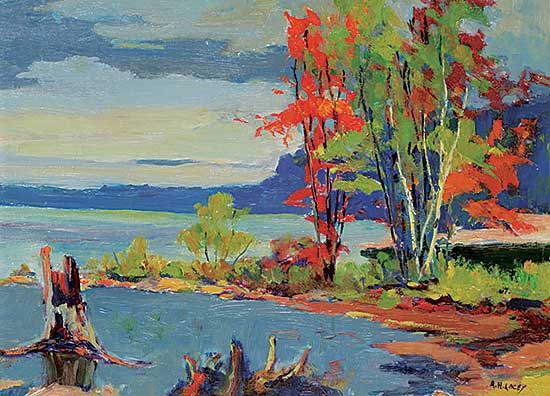 #1159 ~ Lacey - Kushog - Haliburton