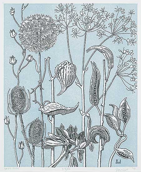 #1210 ~ Nicoll - Seed Pods  #28/50