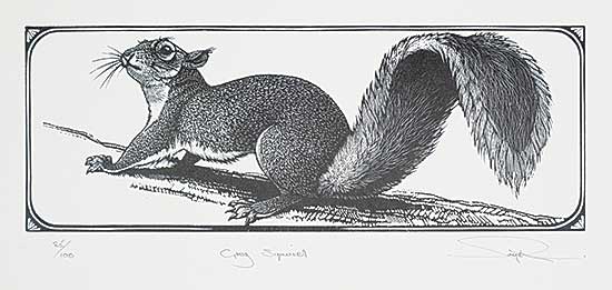 #1267 ~ See-Paynton - Grey Squirrel  #85/100