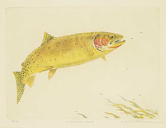 #1289 ~ Stidham - Cutthroat Trout  #98/150