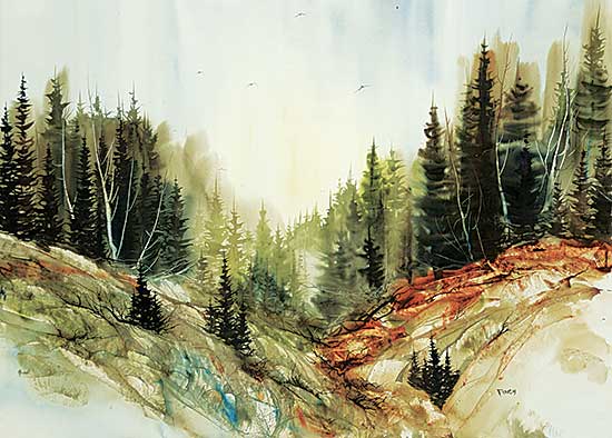 #6 ~ Finch - Untitled - Birds in the Mountain Valley