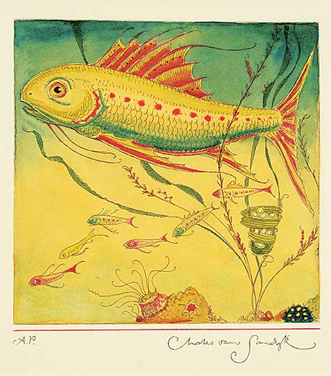 #26 ~ van Sandwyk - Three Generations [Fish, Egg and Fry]  #A.P.