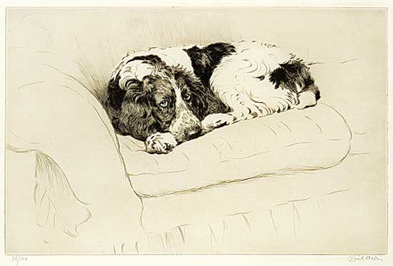 #103 ~ Aldin - Untitled - Best Seat in the House  #86/100