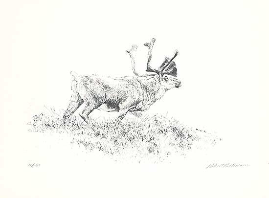 #109 ~ Bateman - Woodland Caribou  #72/290
