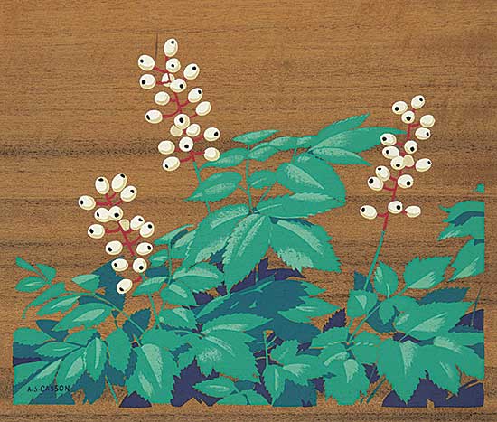 #123 ~ Casson - Berry Bloom