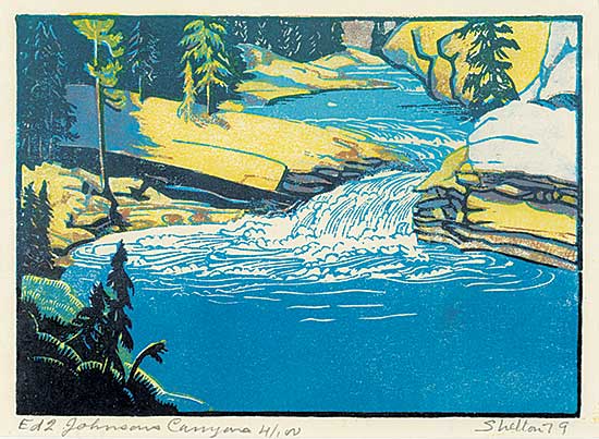 #249 ~ Shelton - Ed. 2, Johnson's Canyon  #4/100