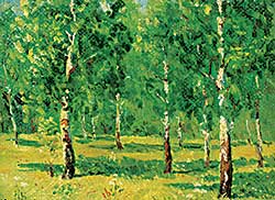 #18 ~ School - Untitled - Birch Trees in Summer