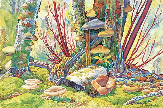 #73 ~ Lindner - Untitled - New Growth