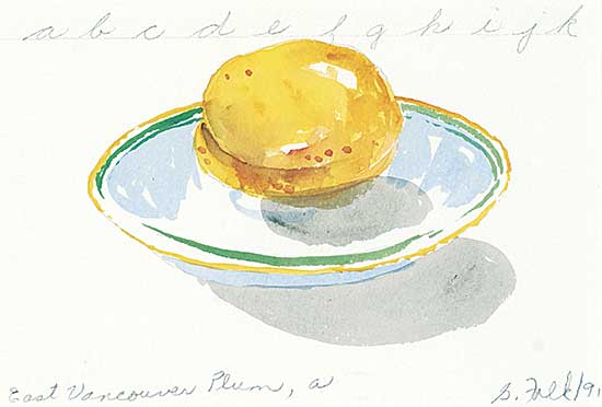 #424 ~ Falk - East Vancouver Plum, a