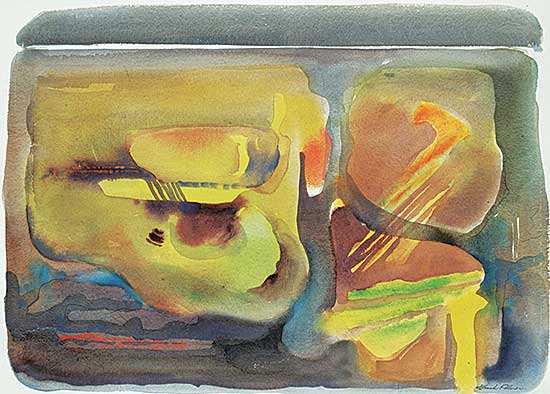 #474 ~ Palmer - Untitled - Abstract Aerial View
