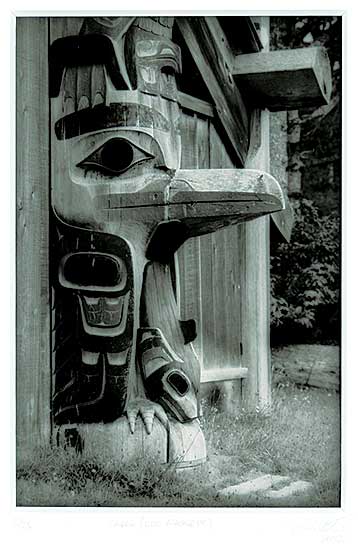 #491 ~ Schallie - Raven [Old Massett]  #2/25